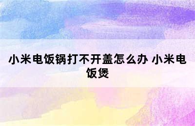 小米电饭锅打不开盖怎么办 小米电饭煲